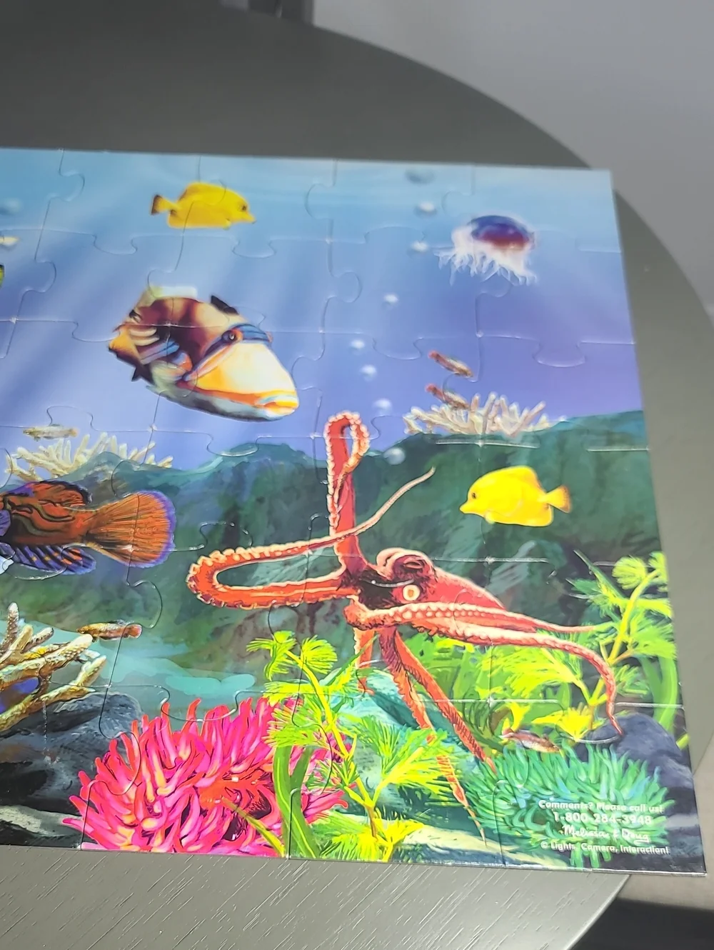 Set Of 2 Melissa & Doug  Large Floor Puzzles